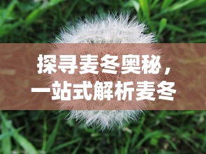 炙手可热