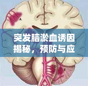 娇小玲珑