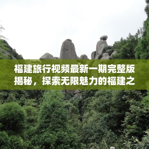 笨鸟先飞