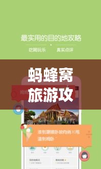 鸷鸟不群