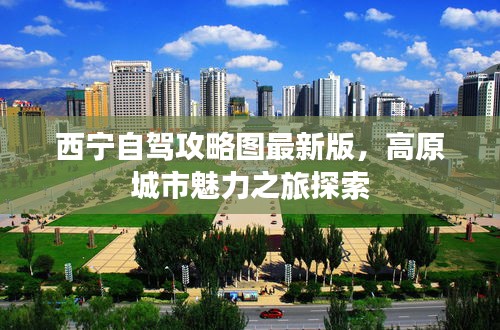 轻徙鸟举