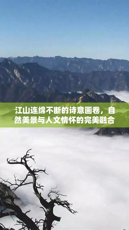 蠉飞蠕动