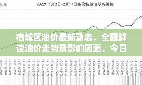 打张鸡儿