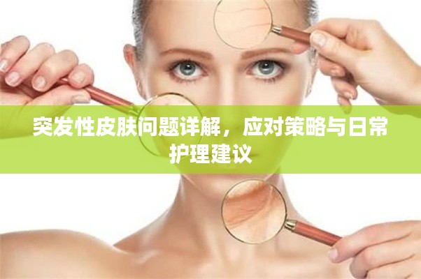 乌鸟私情