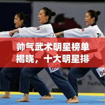 不飞则已