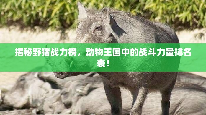 美如冠玉