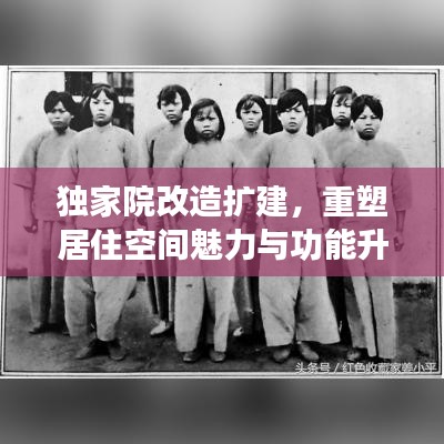 青鸟殷勤