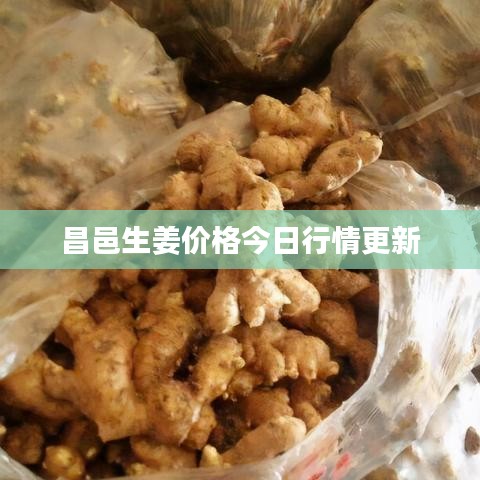 张骞乘槎