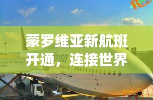 比翼鸟