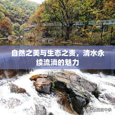 明夷于飞