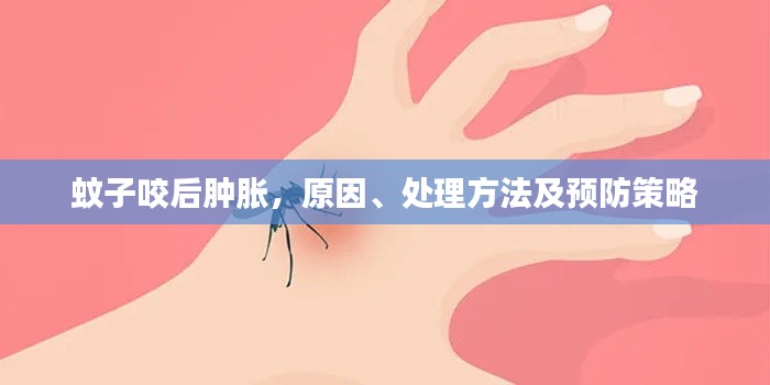 乌鸟之情