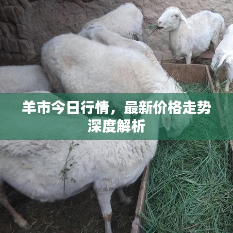 百尺无枝