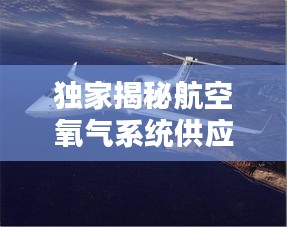 独家揭秘航空氧气系统供应，技术革新与安全保障的完美结合！