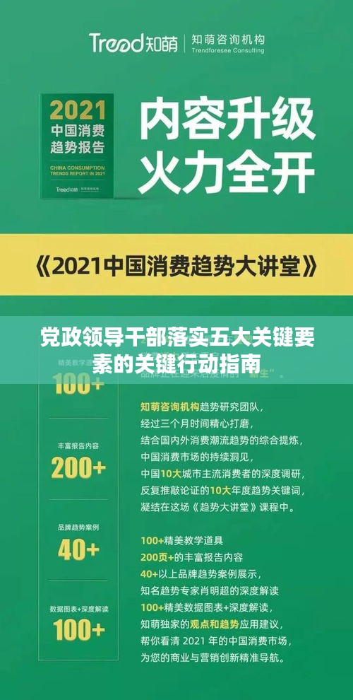 党政领导干部落实五大关键要素的关键行动指南