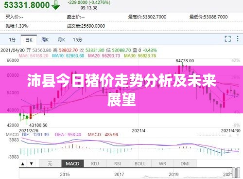 沛县今日猪价走势分析及未来展望