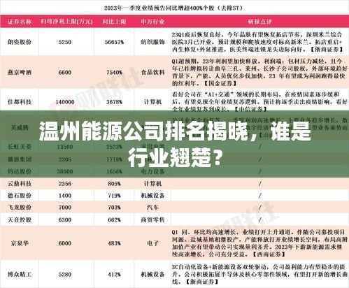 温州能源公司排名揭晓，谁是行业翘楚？
