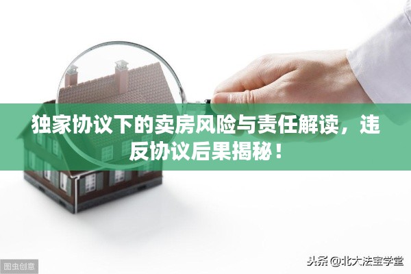 独家协议下的卖房风险与责任解读，违反协议后果揭秘！