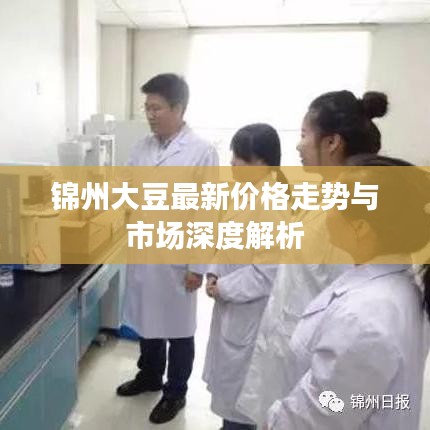 锦州大豆最新价格走势与市场深度解析
