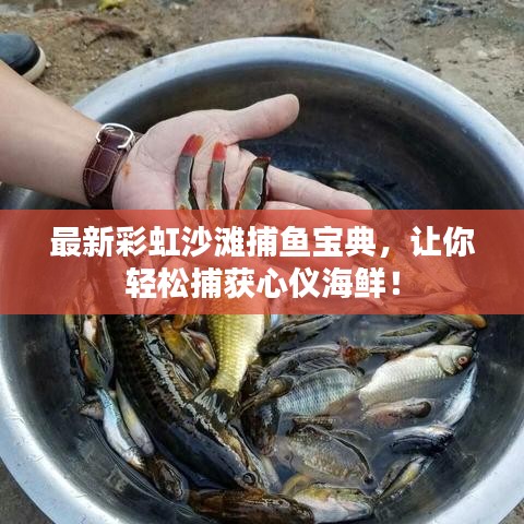 最新彩虹沙滩捕鱼宝典，让你轻松捕获心仪海鲜！