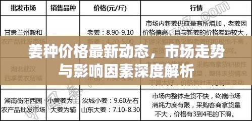姜种价格最新动态，市场走势与影响因素深度解析