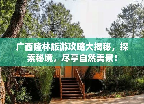 广西隆林旅游攻略大揭秘，探索秘境，尽享自然美景！
