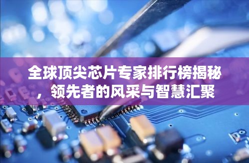全球顶尖芯片专家排行榜揭秘，领先者的风采与智慧汇聚